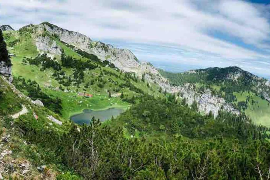 Topmodernes Studio - Sommer Im Bayerischen Inntal Brannenburg Eksteriør billede