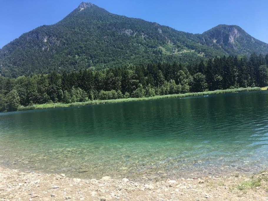 Topmodernes Studio - Sommer Im Bayerischen Inntal Brannenburg Eksteriør billede